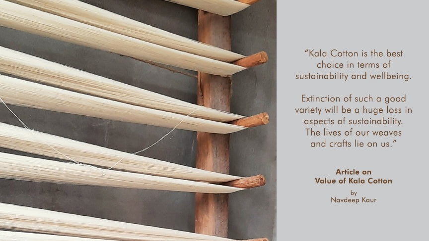 Indigenous Organic Cotton: The safe choice for your baby