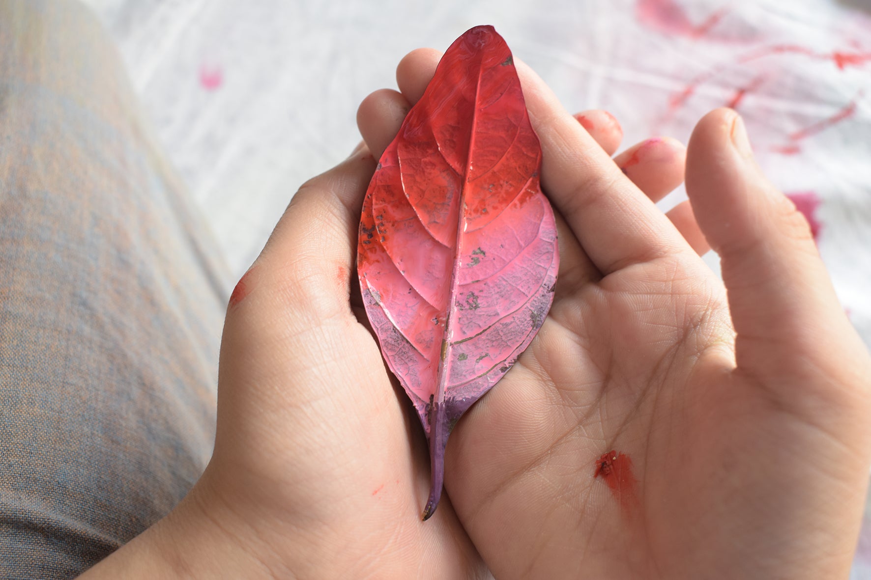 Nurturing the Colour Rhythm of your Child