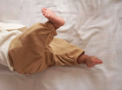 Husk Brown Pleated Pants